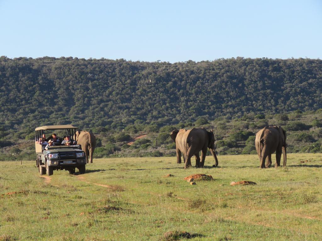 Woodbury Lodge - Amakhala Game Reserve Exteriér fotografie