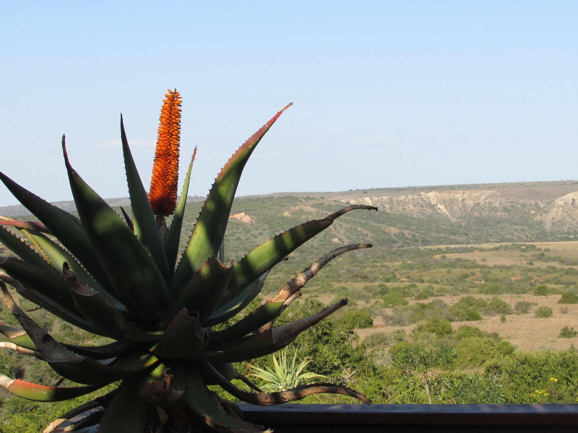 Woodbury Lodge - Amakhala Game Reserve Exteriér fotografie